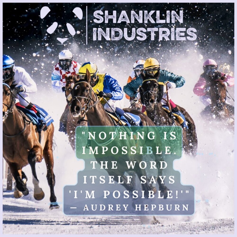 Nothing is Impossible! Keep On Poshing! Any Offers???